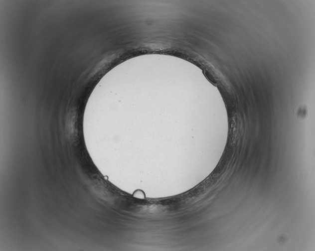X0000116660212201001111257