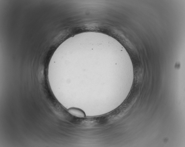 X0000116660213201001111257