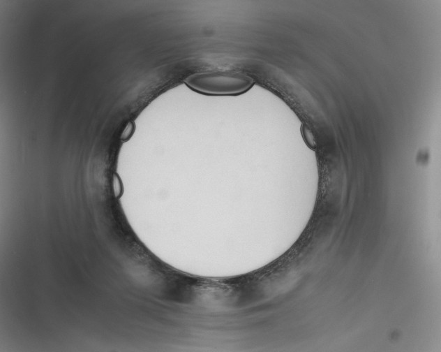 X0000116660215201001111257