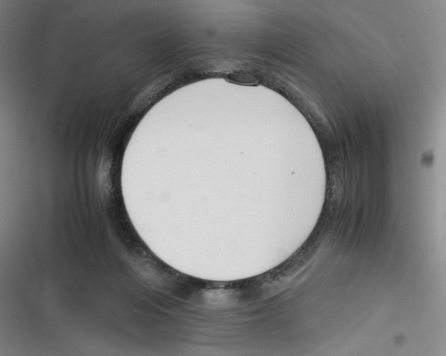 X0000116660216201001111257