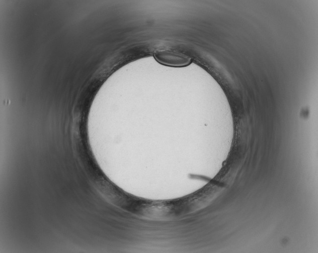 X0000116660217201001111257
