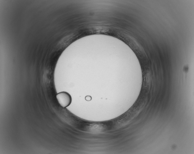 X0000116660218201001111257
