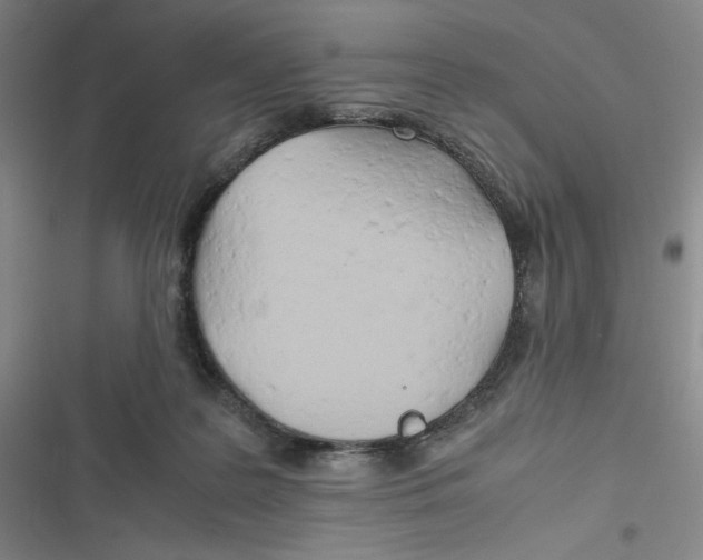 X0000116660219201001111257