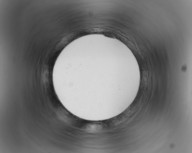 X0000116660220201001111257