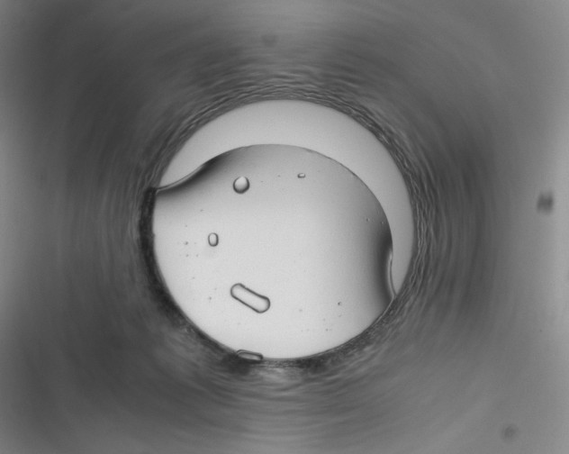 X0000116660221201001111257