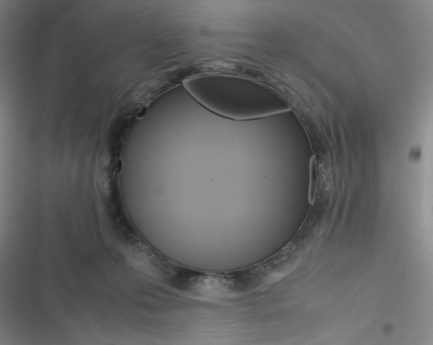 X0000116660223201001111256