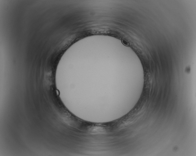 X0000116660224201001111256