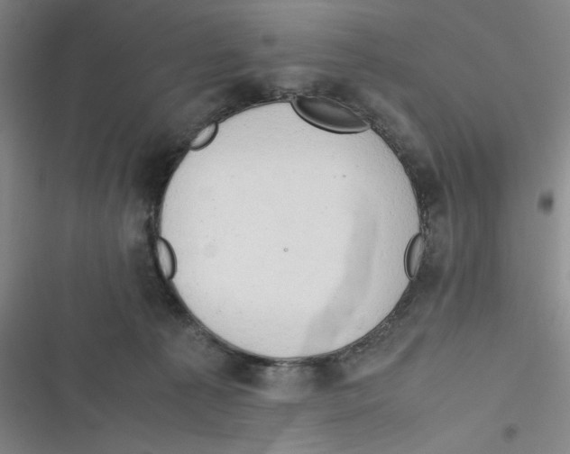 X0000116660225201001111256