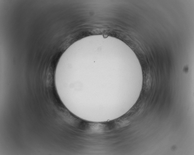 X0000116660226201001111256