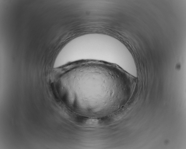 X0000116660227201001111256