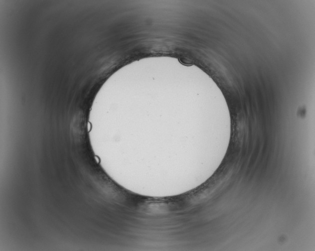 X0000116660228201001111256