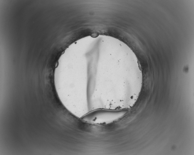 X0000116660229201001111256