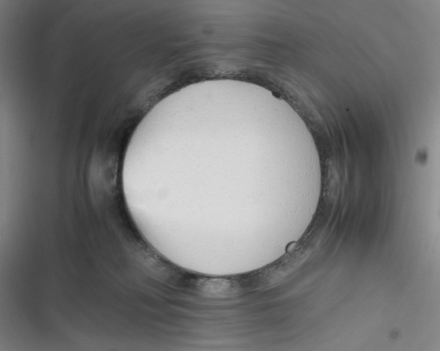 X0000116660230201001111256