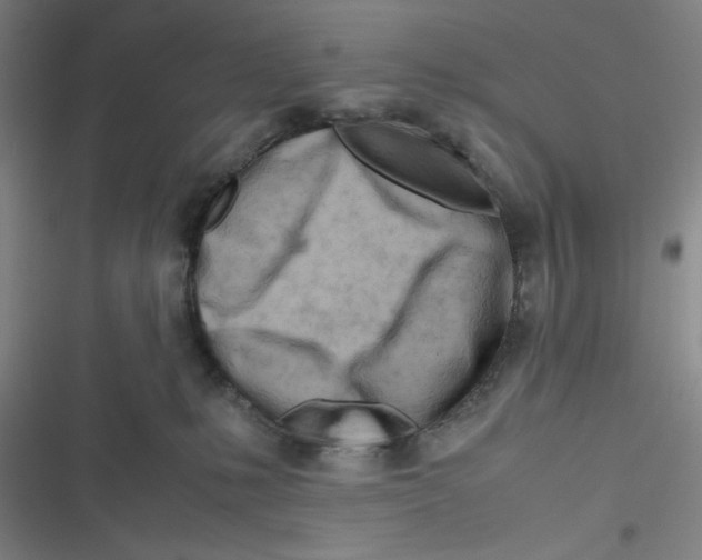 X0000116660231201001111256