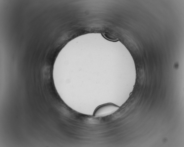 X0000116660232201001111256