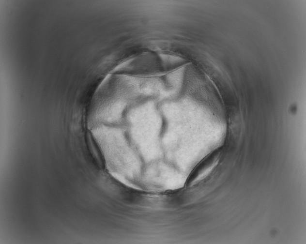 X0000116660233201001111256