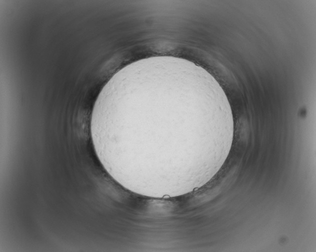 X0000116660234201001111256
