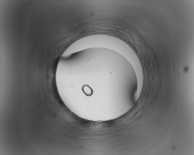 X0000116660235201001111256