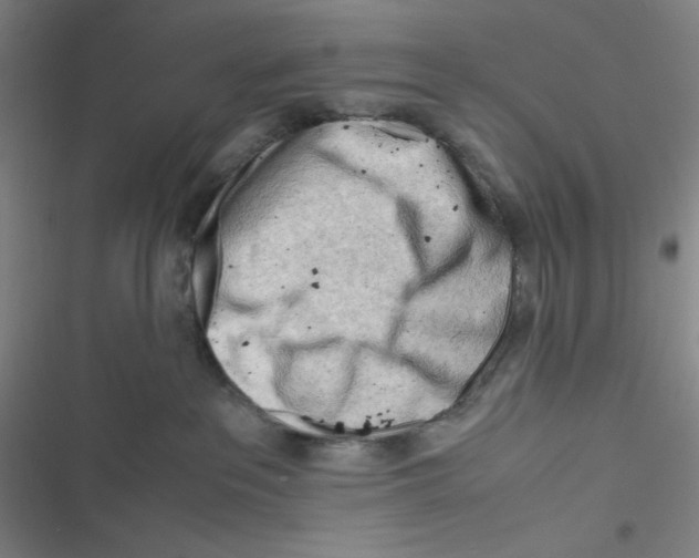 X0000116660237201001111256