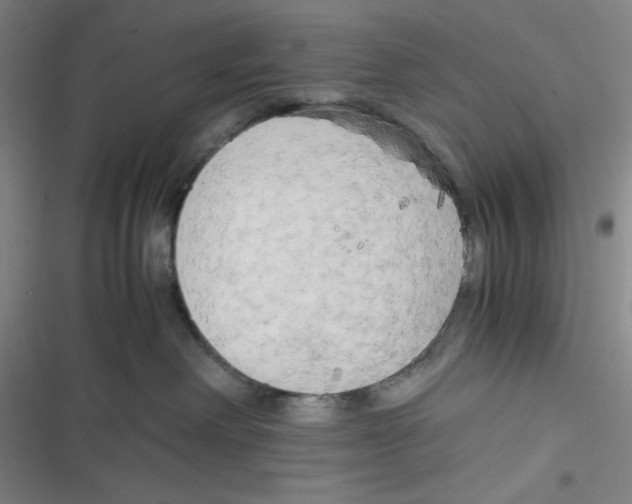 X0000116660238201001111256