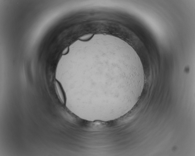 X0000116660239201001111256
