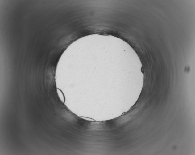 X0000116660240201001111256