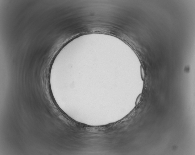 X0000116660241201001111256