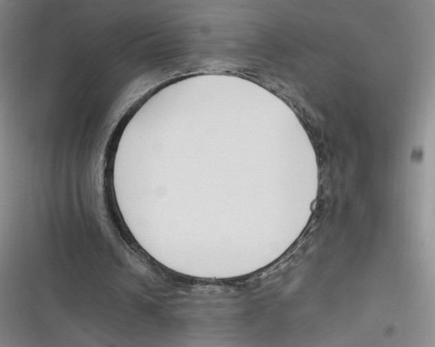 X0000116660242201001111256