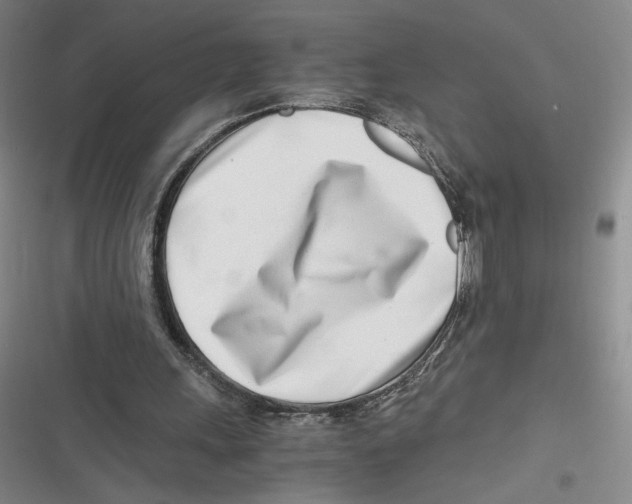 X0000116660243201001111256