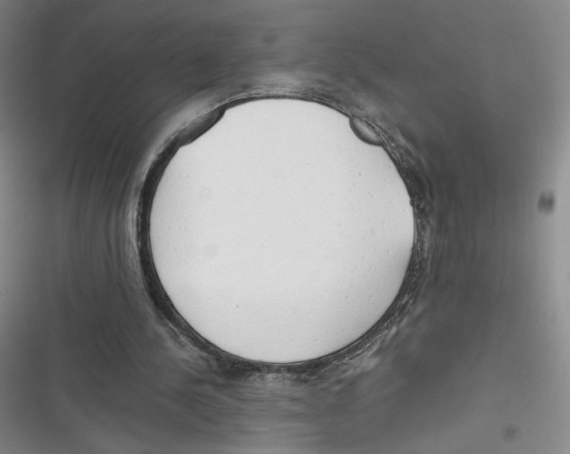 X0000116660244201001111256