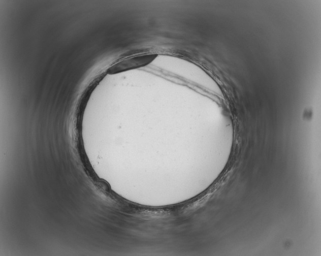 X0000116660245201001111256