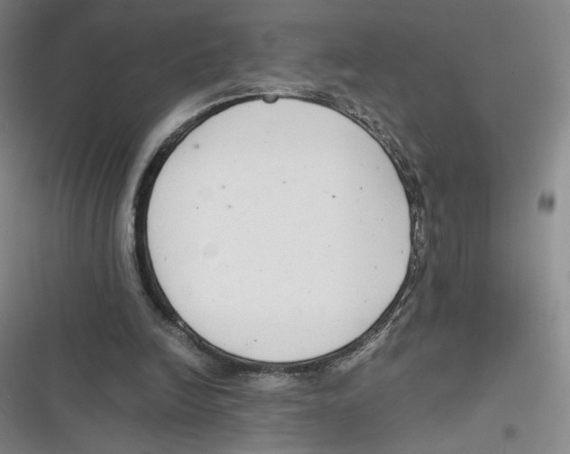 X0000116660246201001111256