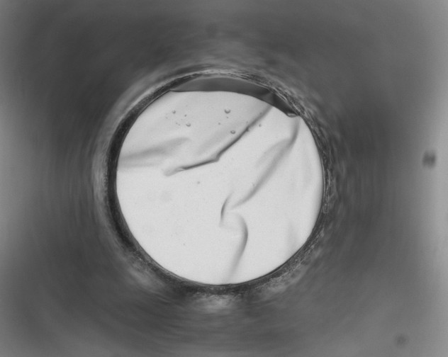X0000116660247201001111256
