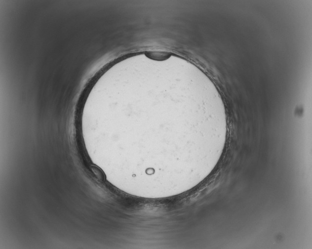 X0000116660248201001111256