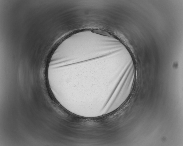 X0000116660249201001111256