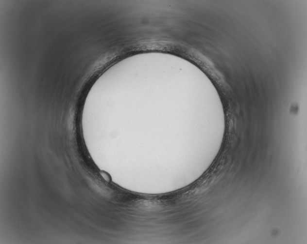 X0000116660250201001111256