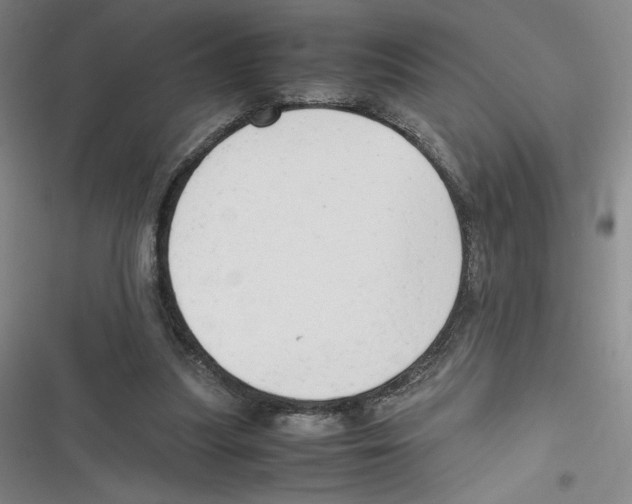 X0000116660251201001111256