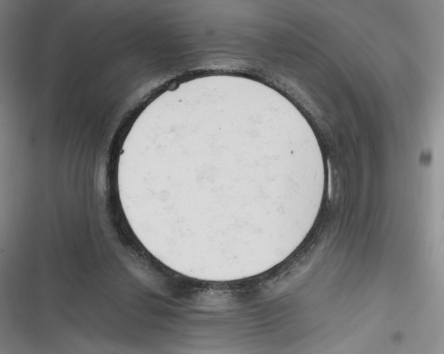 X0000116660252201001111256