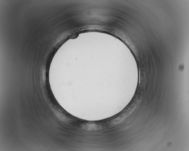 X0000116660253201001111256