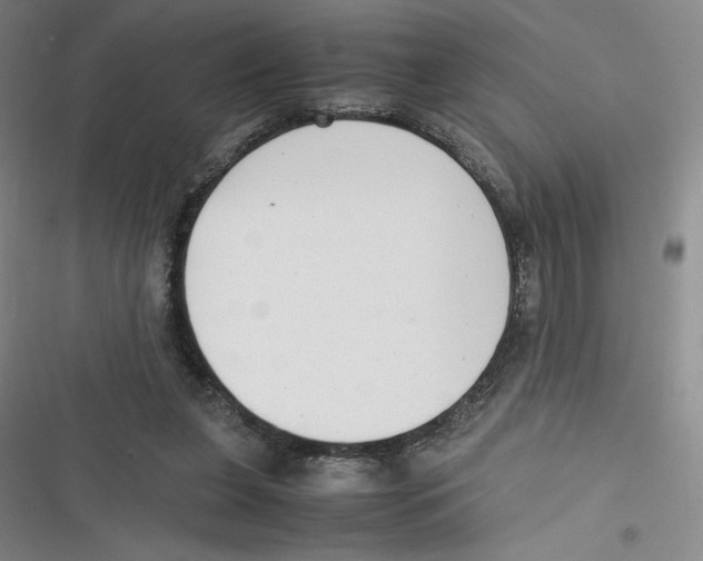 X0000116660255201001111256