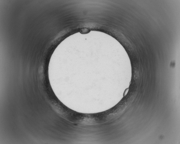 X0000116660256201001111256