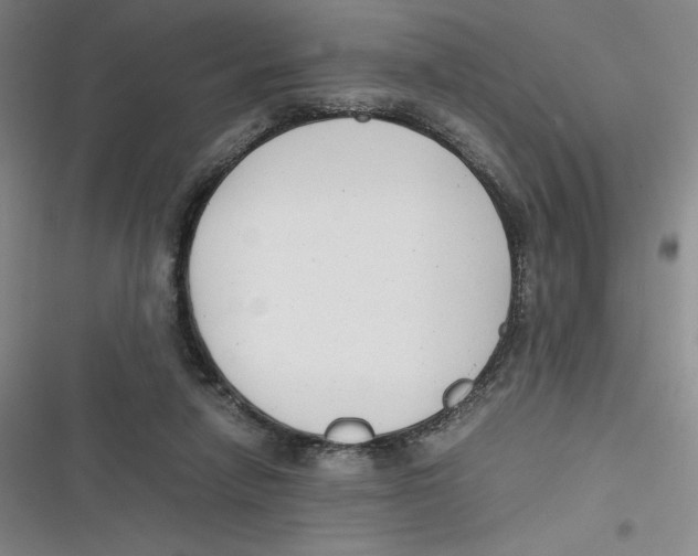 X0000116660258201001111256