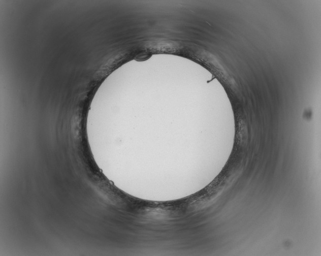X0000116660259201001111256
