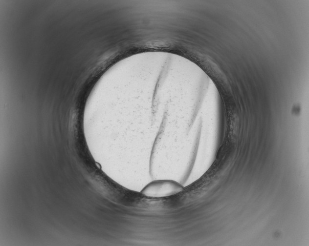 X0000116660260201001111256
