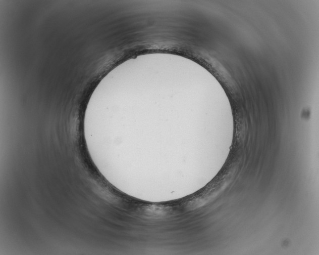 X0000116660261201001111256