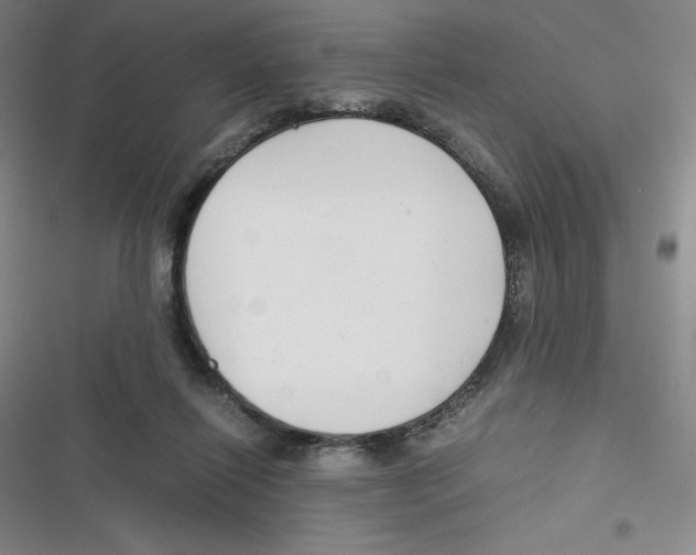 X0000116660262201001111256