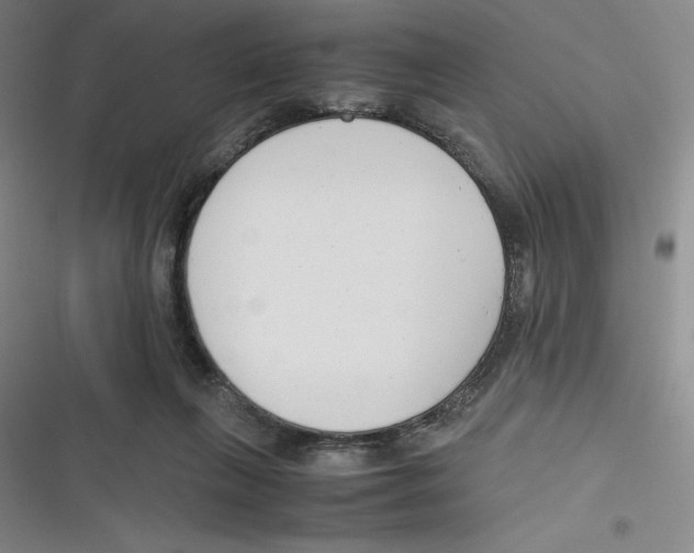 X0000116660263201001111256