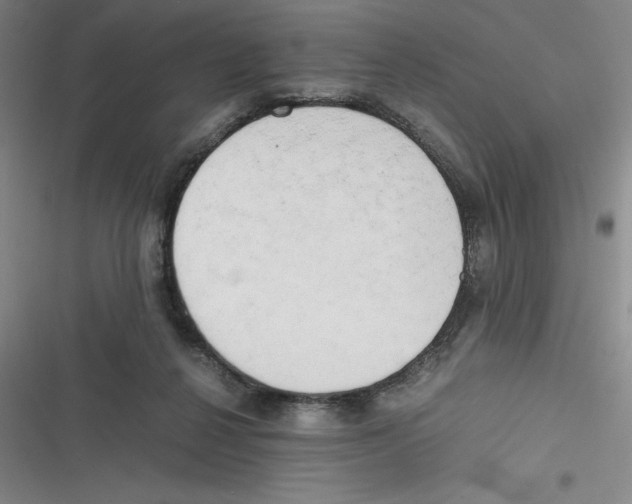 X0000116660264201001111256