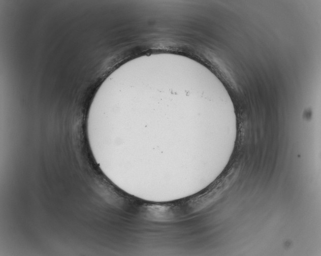 X0000116660265201001111256