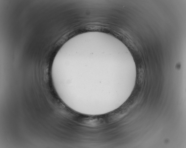 X0000116660267201001111256